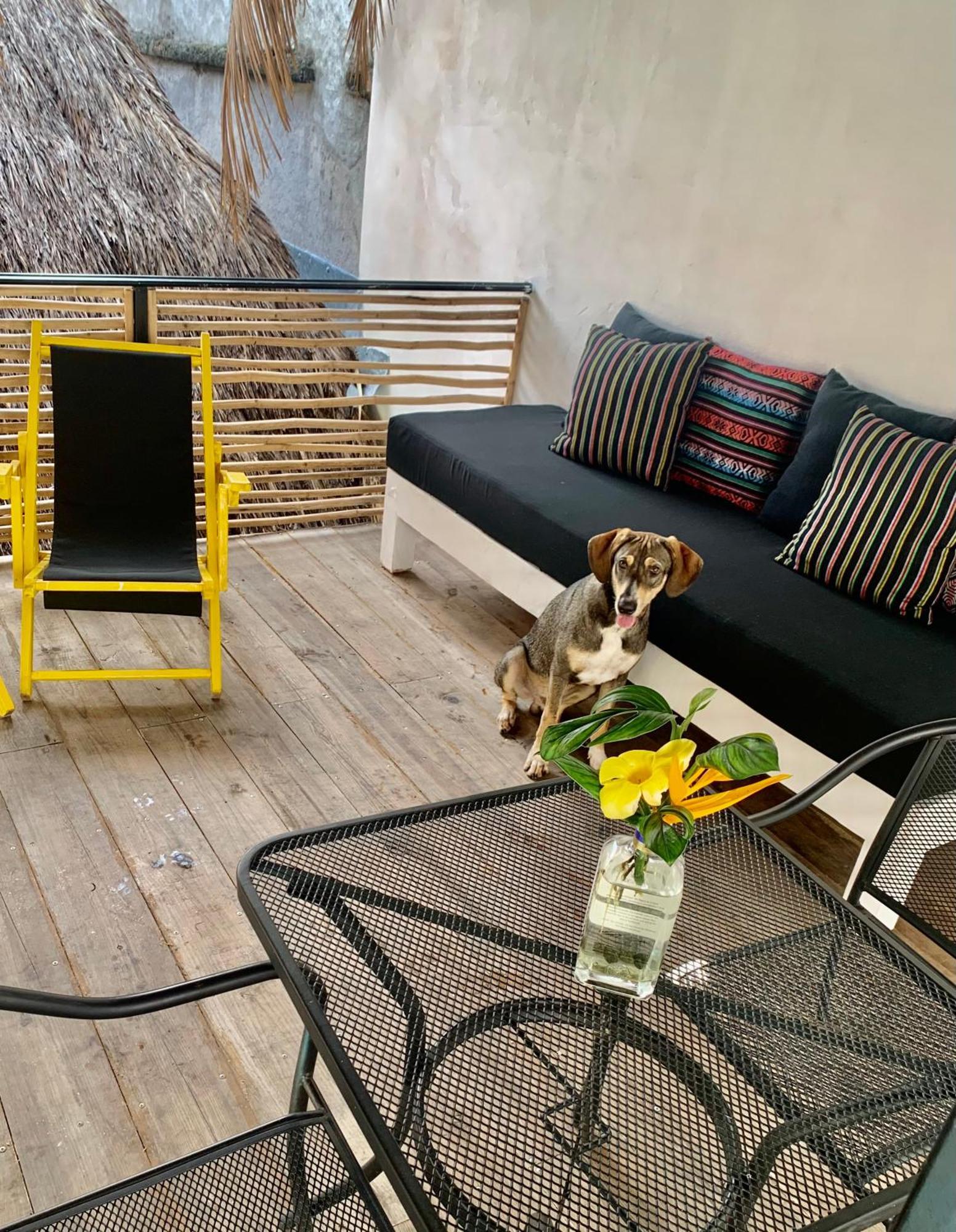 Sayulita Surf Bungalows Luaran gambar
